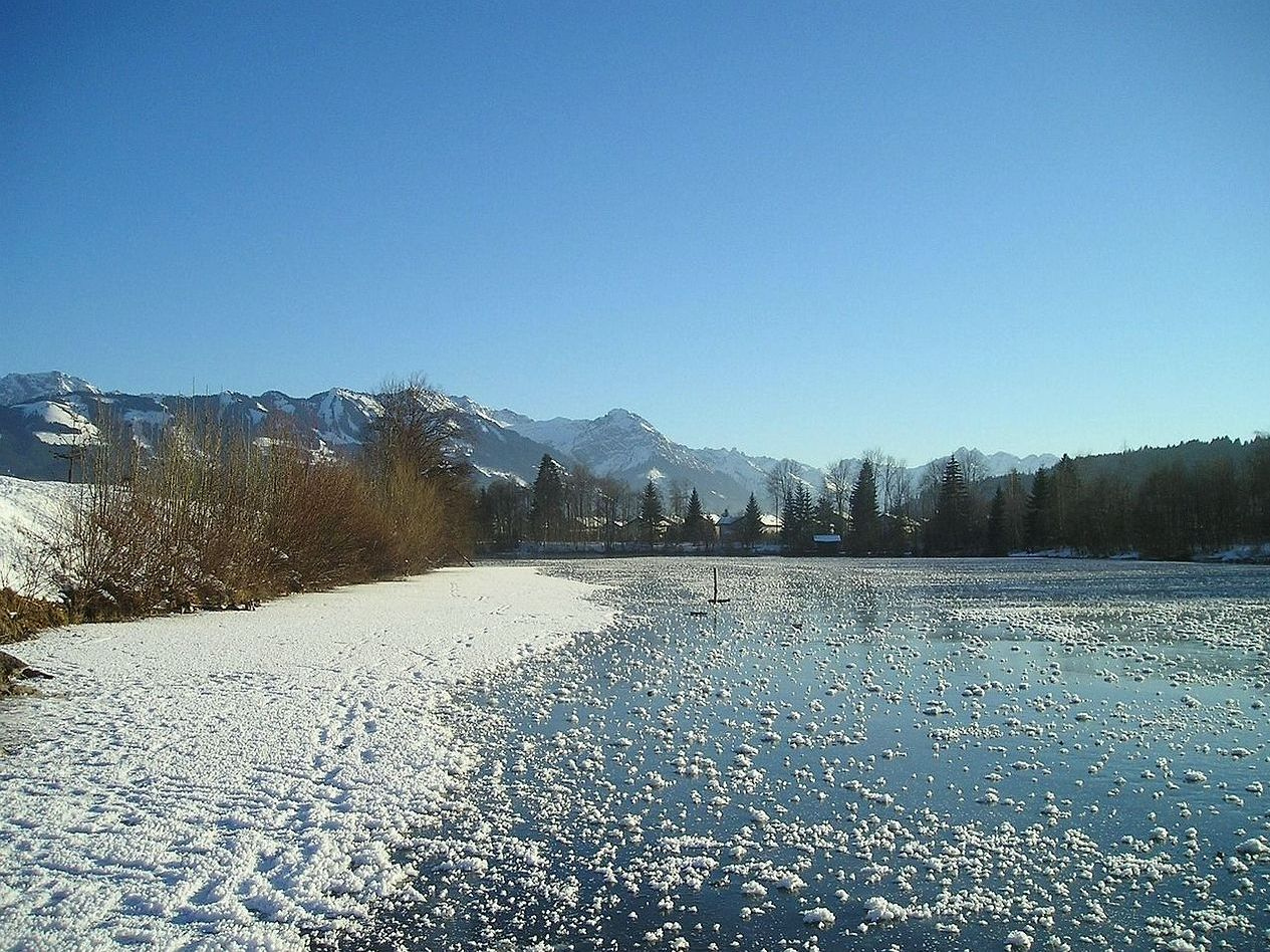 Cabana na floresta ao lado de lago nas montanhas